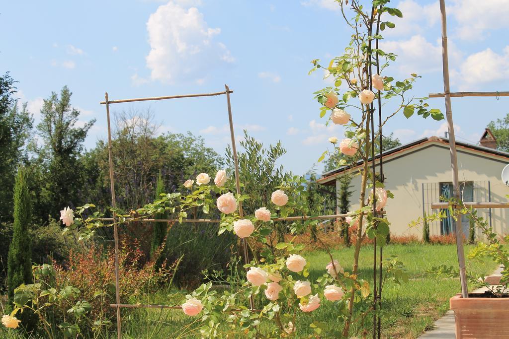 Agriturismo Dimore Di Poggianto Pergine Valdarno Eksteriør bilde